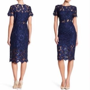 NWT NSR Peekaboo lace dress